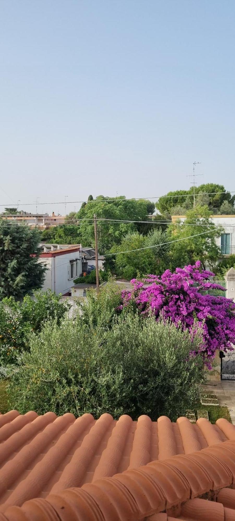 Villa Guajira Bari Eksteriør billede