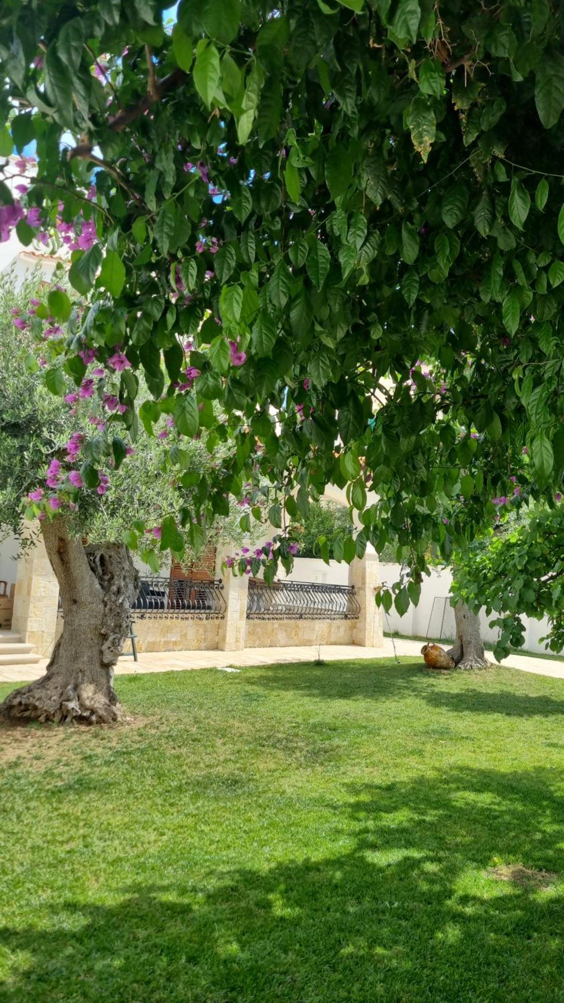 Villa Guajira Bari Eksteriør billede