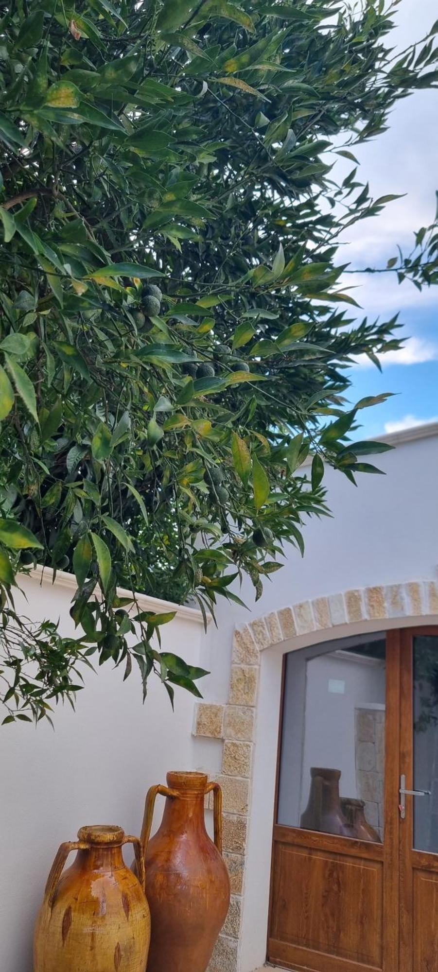Villa Guajira Bari Eksteriør billede