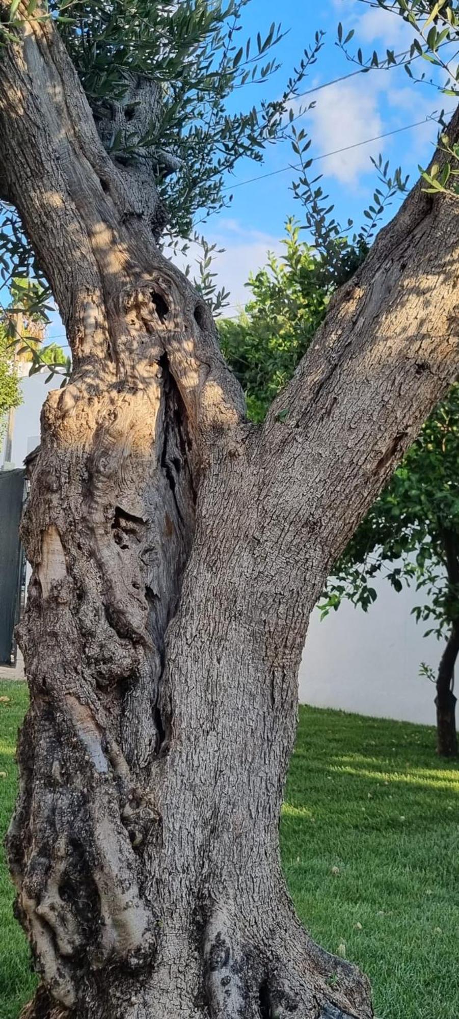 Villa Guajira Bari Eksteriør billede