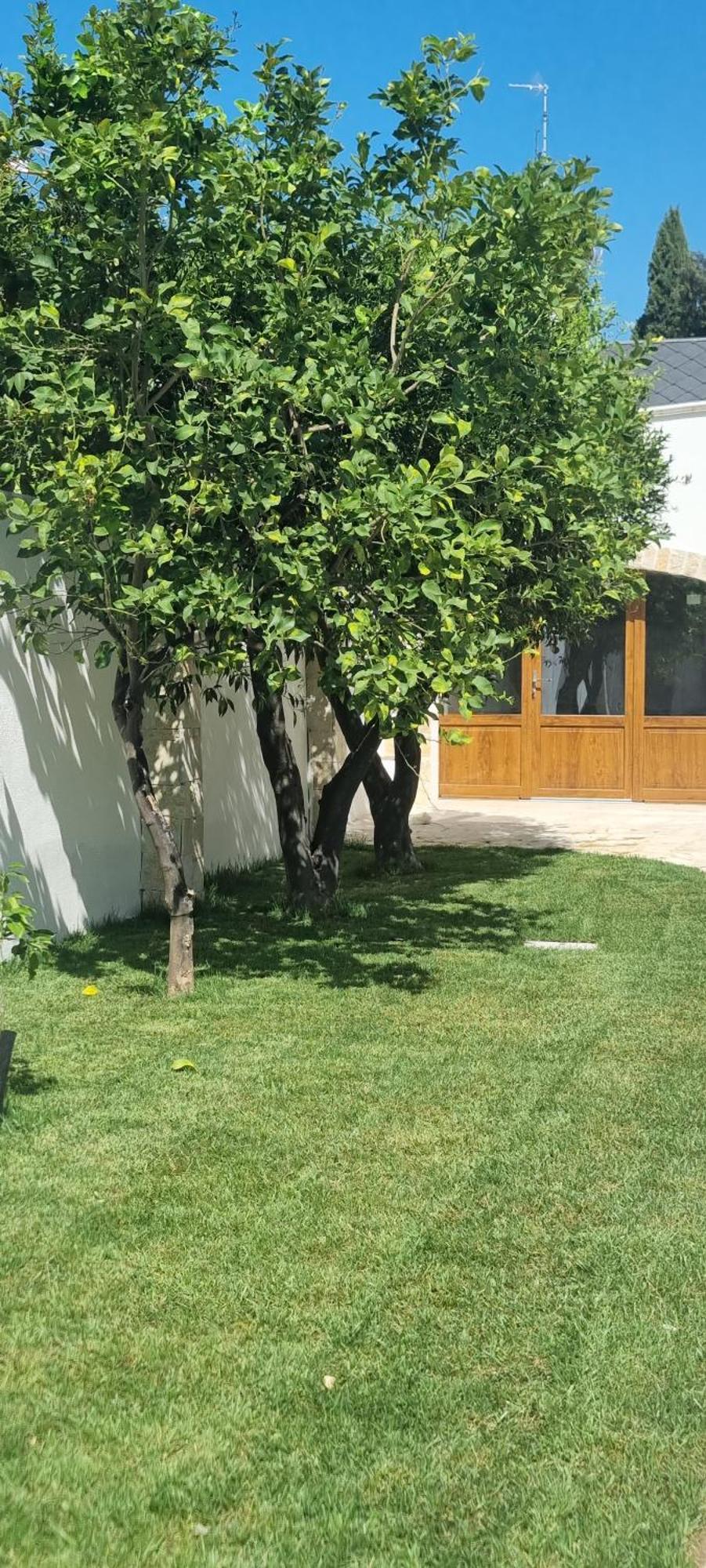 Villa Guajira Bari Eksteriør billede